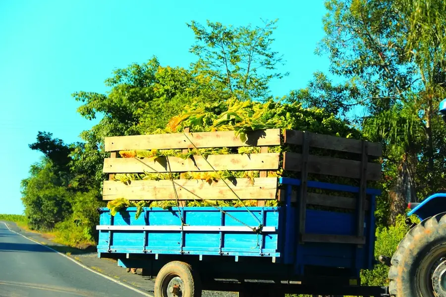 Excellent Hauling Service Sebastian, FL Excellent Hauling Service Sebastian, FL