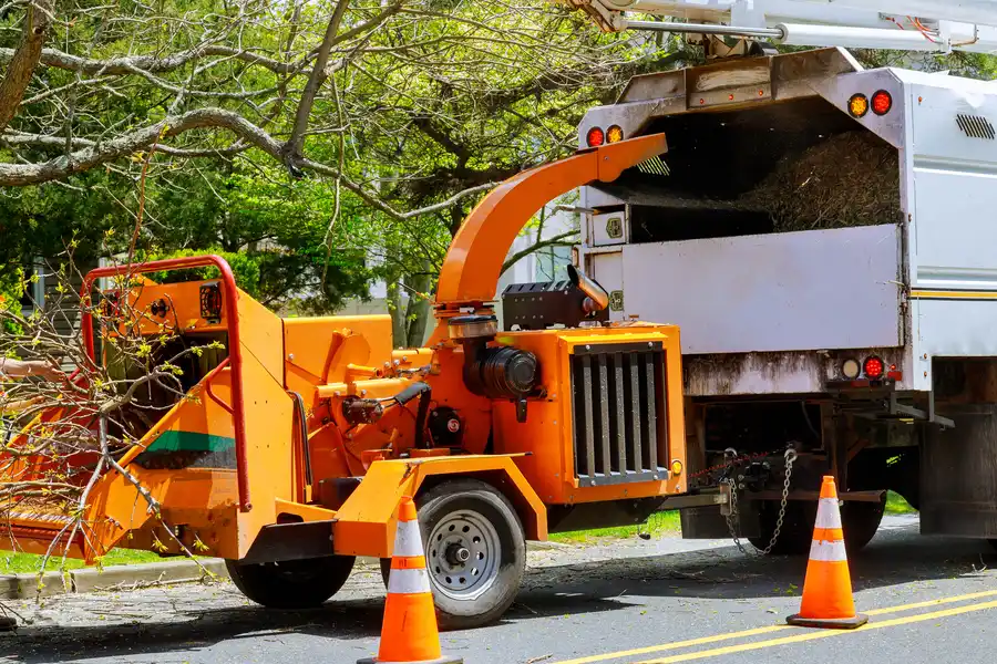 The Role Of Excavating Contractors In Site Preparation Sebastian, FL The Role Of Excavating Contractors In Site Preparation Sebastian, FL